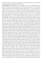 Filosofija ir filosofai 6 puslapis