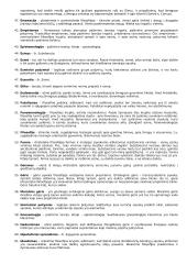 Filosofijos sąvokos 3 puslapis