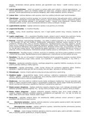 Filosofijos sąvokos 5 puslapis