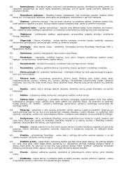 Filosofijos sąvokos 6 puslapis