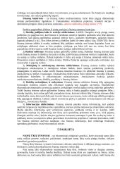 Finansų paskaitų teorija 11 puslapis