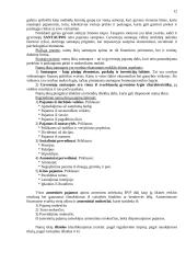 Finansų paskaitų teorija 12 puslapis