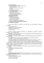 Finansų paskaitų teorija 13 puslapis