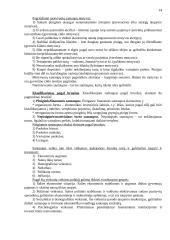 Finansų paskaitų teorija 14 puslapis