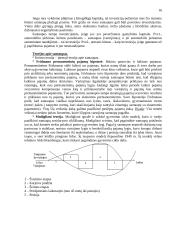 Finansų paskaitų teorija 16 puslapis