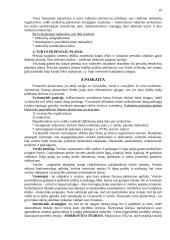 Finansų paskaitų teorija 19 puslapis