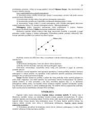 Finansų paskaitų teorija 20 puslapis