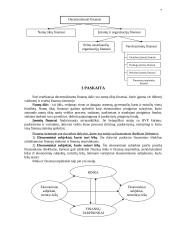 Finansų paskaitų teorija 7 puslapis