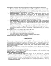 Faktoringas ir hipoteka 5 puslapis