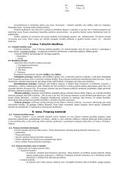 Finansų sistema, vastybės biudžetas 11 puslapis