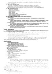 Finansų sistema, vastybės biudžetas 4 puslapis