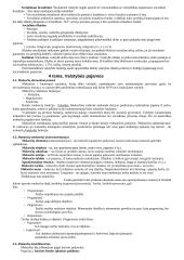 Finansų sistema, vastybės biudžetas 6 puslapis