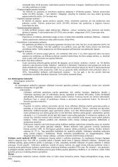 Finansų sistema, vastybės biudžetas 8 puslapis