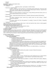 Finansų sistema, vastybės biudžetas 9 puslapis