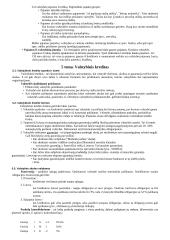 Finansų sistema, vastybės biudžetas 10 puslapis