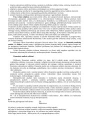 Finansinė analizė 2 puslapis