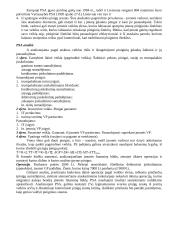 Finansinė analizė 11 puslapis