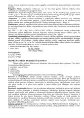 Finansinė analizė 4 puslapis