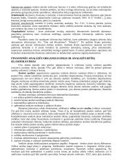Finansinė analizė 5 puslapis