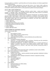 Finansinė analizė 6 puslapis