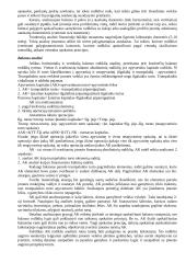 Finansinė analizė 8 puslapis