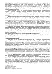 Finansinė analizė 10 puslapis