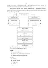 Įmonės finansinė analizė ir jos uždaviniai 2 puslapis