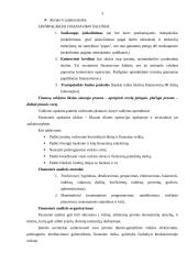 Įmonės finansinė analizė ir jos uždaviniai 3 puslapis