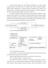 Įmonės finansinė analizė ir jos uždaviniai 5 puslapis