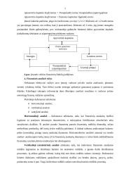 Įmonės finansinė analizė ir jos uždaviniai 7 puslapis
