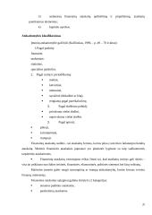 Finansinė ataskaita 3 puslapis