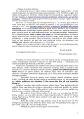 Finansinių investicijų sprendimų priėmimas 5 puslapis