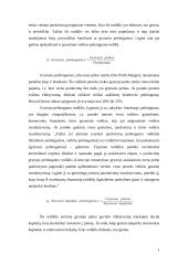 Finansinių rodiklių sistema ir pelningumo rodikliai 2 puslapis