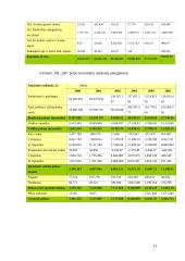 Finansinių rodiklių sistema ir pelningumo rodikliai 12 puslapis