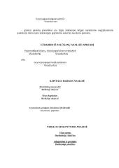 Finansų sistema rinkos ekonomikoje 11 puslapis