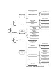Finansų sistema rinkos ekonomikoje 13 puslapis