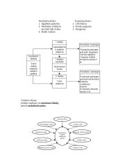 Finansų sistema rinkos ekonomikoje 7 puslapis