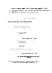 Finansų sistema rinkos ekonomikoje 10 puslapis