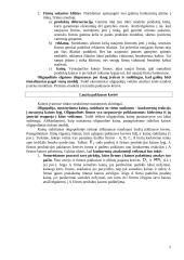 Firmos pusiausvyra oligopolinėje ir monopolinės konkurencijos rinkose 2 puslapis