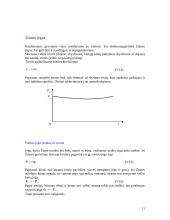 Fizikos paskaitų informacija 11 puslapis