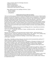 Formavimo, pakavimo ir apdailos medžiagos 11 puslapis