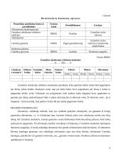 Gamybos užsakymų vykdymo kontrolė 3 puslapis