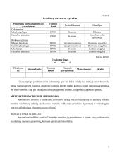 Gamybos užsakymų vykdymo kontrolė 4 puslapis