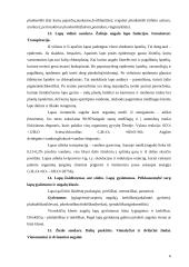 Gamtos didaktika: augalo ląstelės 6 puslapis