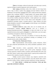 Gamtos didaktika: augalo ląstelės 7 puslapis