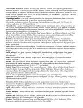 Geologija ir uolienos 11 puslapis