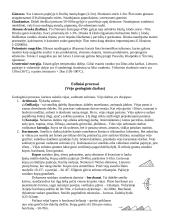 Geologija ir uolienos 12 puslapis