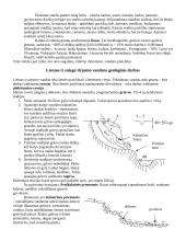 Geologija ir uolienos 13 puslapis