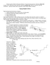 Geologija ir uolienos 14 puslapis