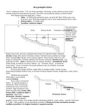Geologija ir uolienos 16 puslapis